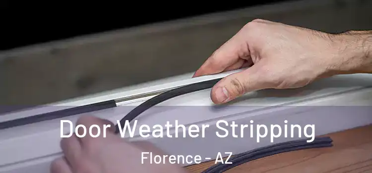 Door Weather Stripping Florence - AZ