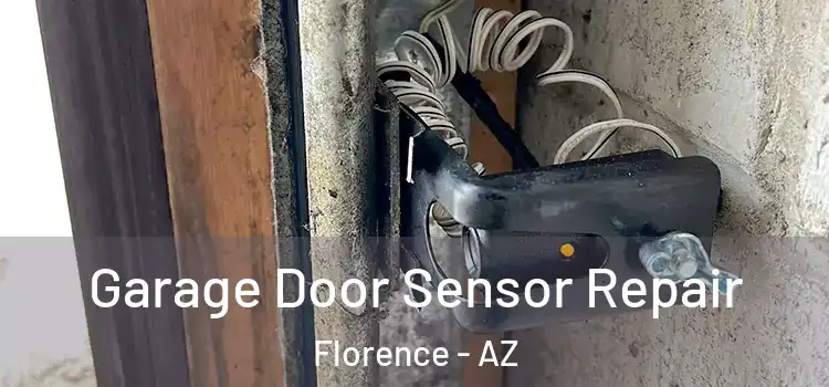 Garage Door Sensor Repair Florence - AZ