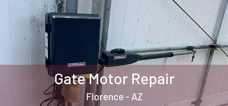 Gate Motor Repair Florence - AZ