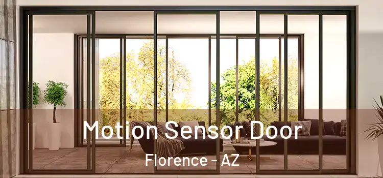 Motion Sensor Door Florence - AZ